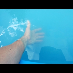 Ako odstrániť kalnú vodu v bazéne