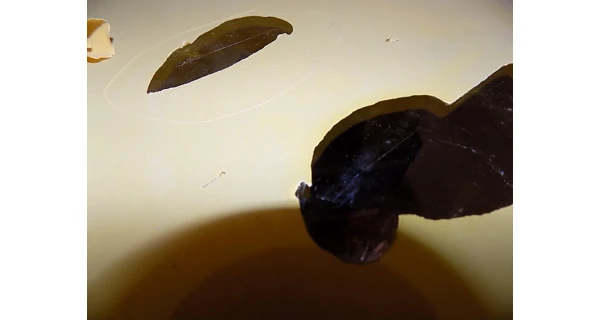 Infrasauna Marimex Trendy 2001 L (poškriabané sklo)