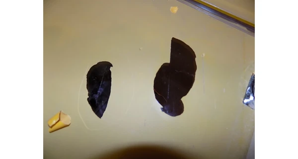 Infrasauna Marimex Trendy 2001 L (poškriabané sklo)