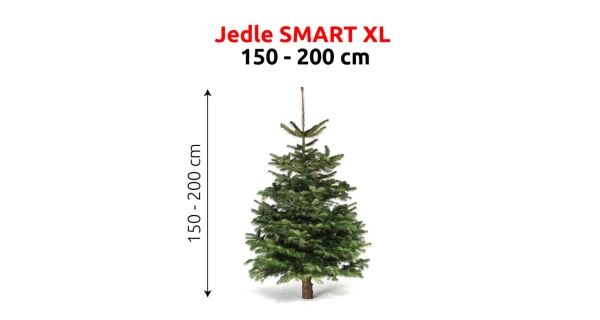 Jedľa Smart XL