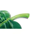 Nafukovacie lehátko - palmový list