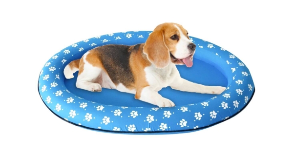 Nafukovacie lehátko pre psy