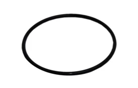 O-krúžek nádoby pre filtraciu BlackStar a ProStar 2m3/h