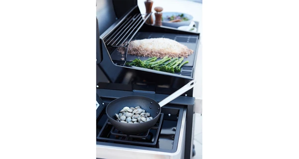 Plynový gril Barbecook Stella 3201