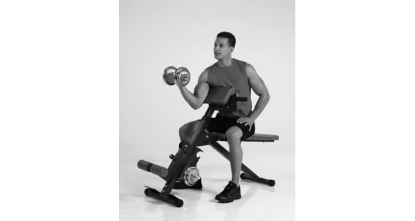 Posilňovacia lavica FINNLO AB and BACK Trainer