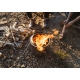 Prenosné ohnisko Solo Stove Ranger
