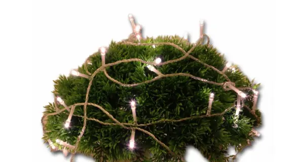 Reťaz 5 m - 50 LED - teplá biela- spínač