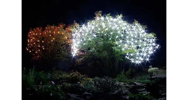 Sieť 1,5 x 1,5 m - 100 LED - studená biela