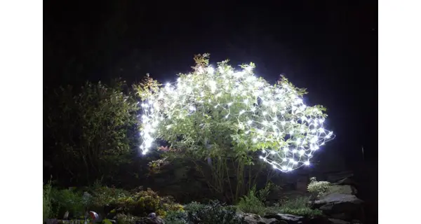 Sieť 3 x 3 m - 128 LED - studená biela