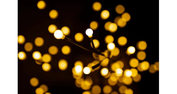 Stromček so žiarovkami 200 LED - teplá biela