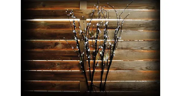 Vetvičky LED s kamienkami